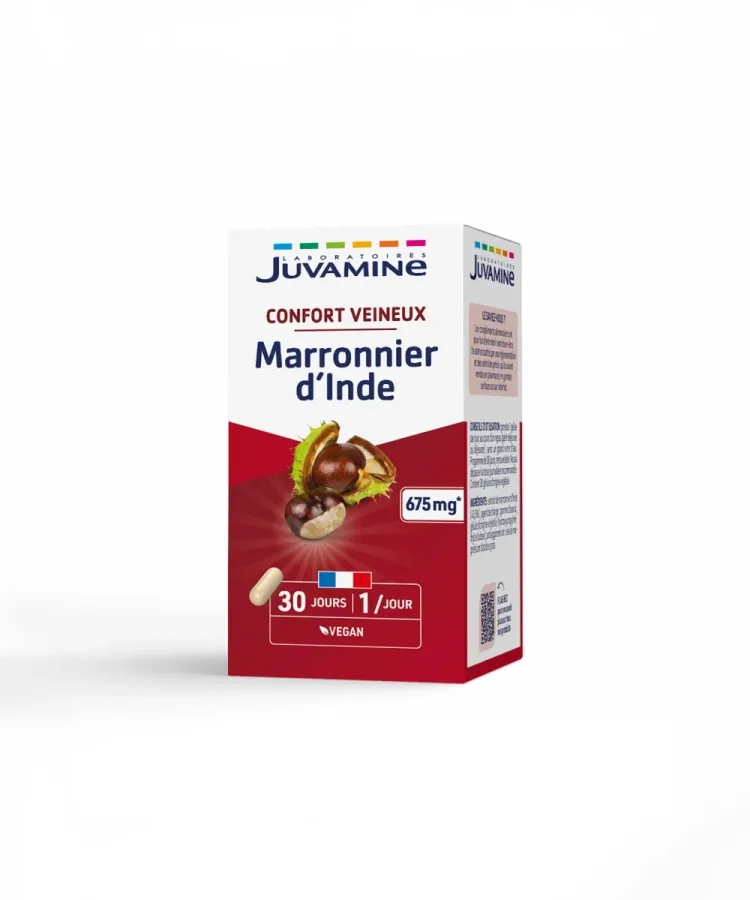 MARRONNIER D'INDE