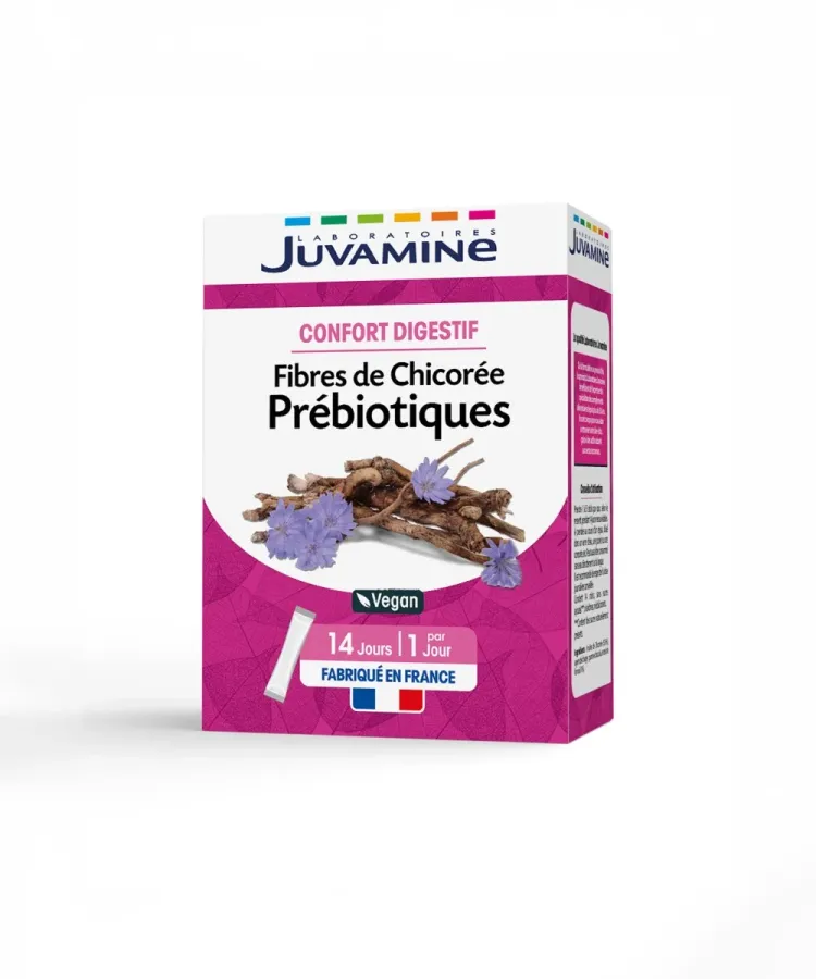 PRÉBIOTIQUES FIBRES DE CHICORÉE