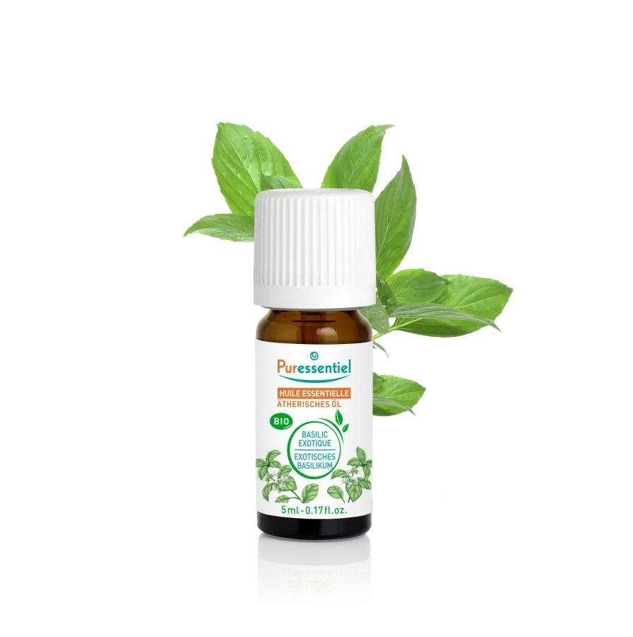 Huile Essentielle Basilic BIO