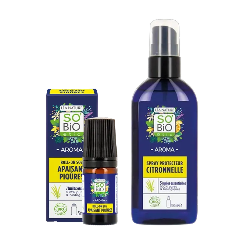 Routine protection citronnelle