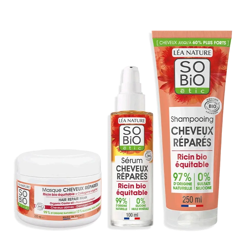 Routine Cheveux réparés - Ricin Bio