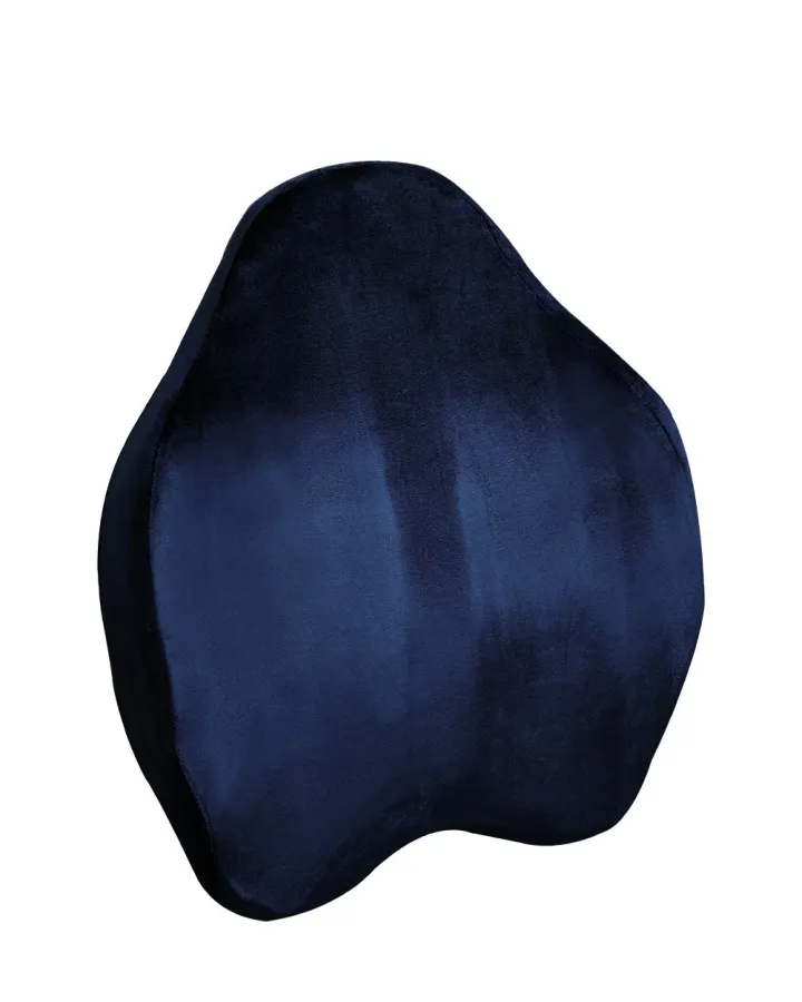 Coussin de Dossier Anatomique Code 658