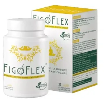 FIGOFLEX, BT 30 Gélules