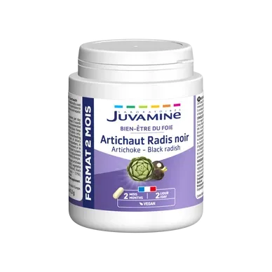 ARTICHAUT RADIS NOIR 120 gélules