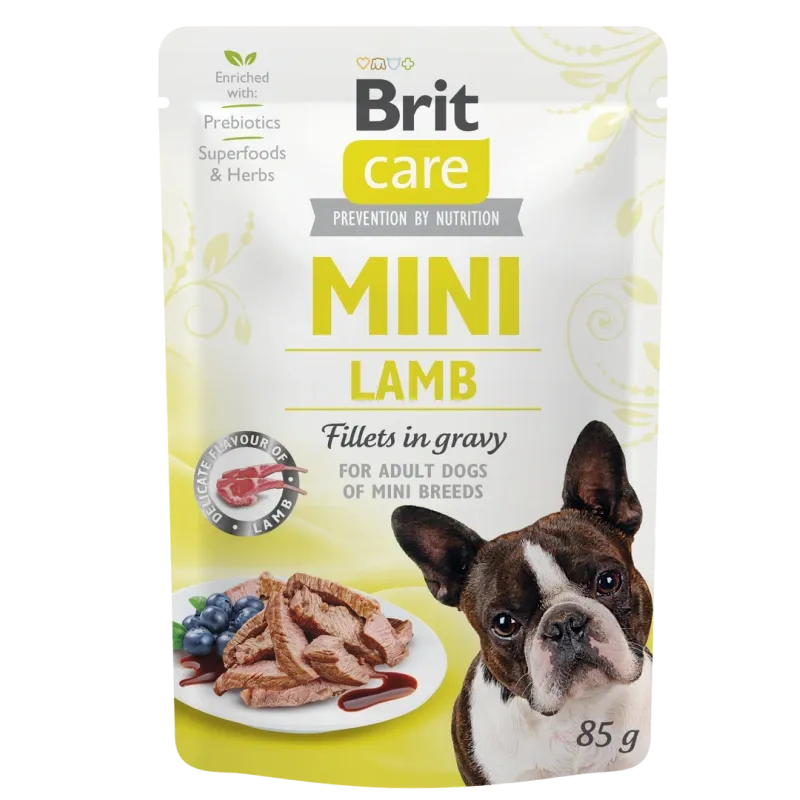 POCHON BRIT CARE MINI,85G