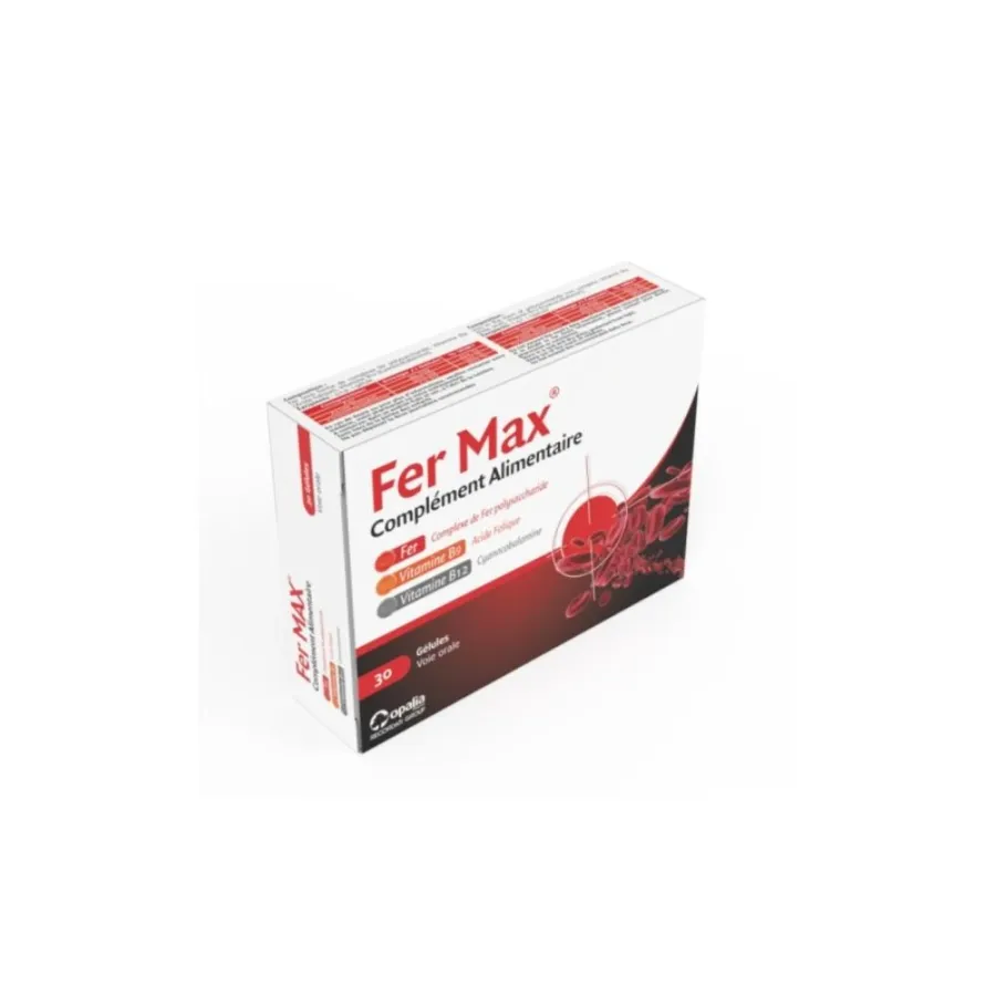 Fer Max B/30 Gélules