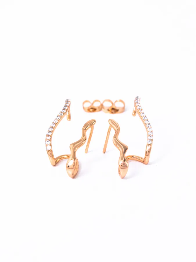 Boucles d’Oreilles Grimpantes