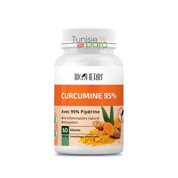 Bioherbs Curcumine 95% Gelules Boîte 60